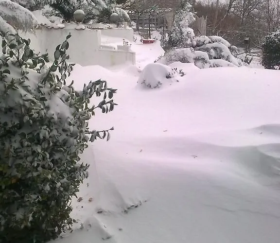 Villa синя иглика