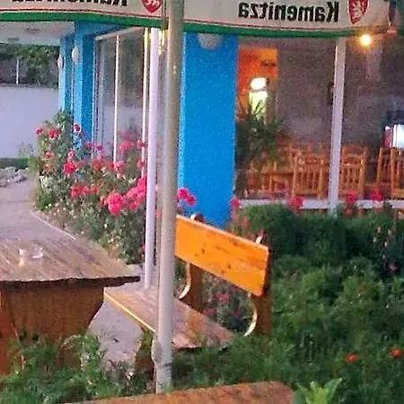 синя иглика فيلة Kosharitsa