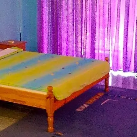 синя иглика Kosharitsa