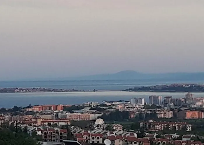 Луксозна вила синя иглика Кошарица