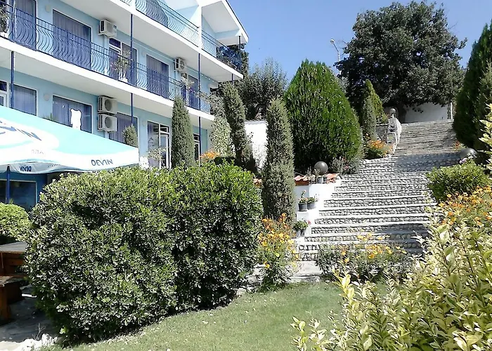 синя иглика Kosharitsa